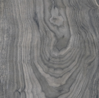 Керамогранит Primavera Forest Grey 20x80 см (WD12)