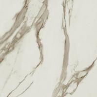 Керамическая Плитка Для пола PRIMAVERA/ТШ Тривия (ТР453668D)