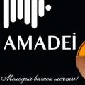 Amadei Amadei
