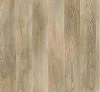 Ламинат AGT Лабрадор PRK922 Marco Polo Premium Ламинат AGT Лабрадор PRK922 Marco Polo Premium