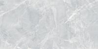 Керамическая Плитка Облицовочная PRIMAVERA/ТШ Мрамор светло-серая TP8002