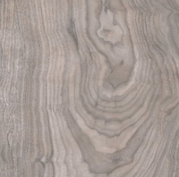 Керамогранит Primavera Forest Flax 20x80 см (WD10)