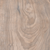 Керамогранит Primavera Forest Gold Terra 20x80 см (WD11)