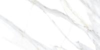 Керамическая Плитка Облицовочная PRIMAVERA/ТШ Мрамор белая-2 TP8006
