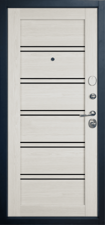 Входная дверь Atum Pro 28  Artic Oak  Black Gloss