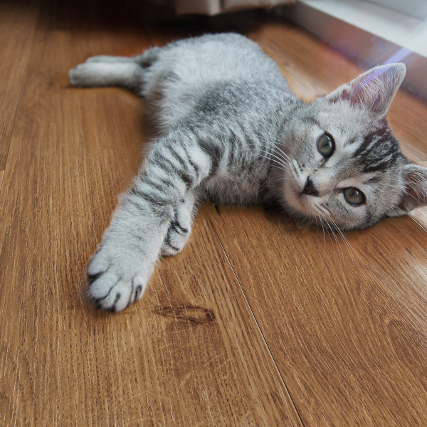 Ламинат Peli Дуб Натуральный