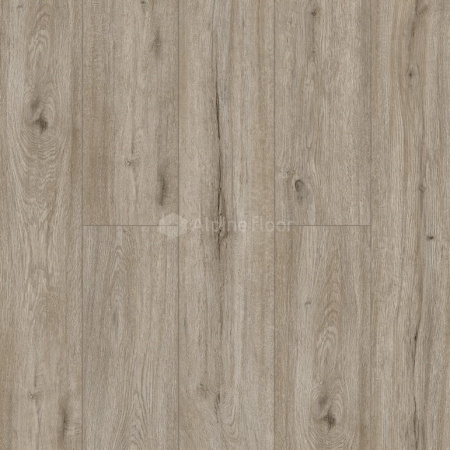 SPC Ламинат ALPINE FLOOR Коллекция SOLO Дизайн ЕСО 14-8 Прэсто (1220х183х3.5 мм)
